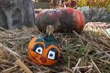 2013_1026Herbst0001.webp