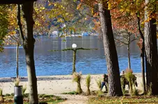 DSC_0541.webp