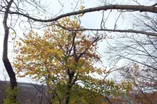2013_1026Herbst0051.webp