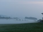 Nebel  (3) (Kopie).JPG