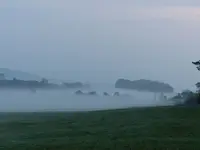 Nebel  (3) (Kopie).webp