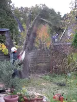 IMGP5721.webp