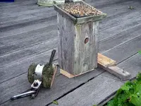 IMGP5727.webp