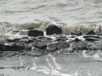 024.webp