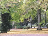 IMG_0020.webp