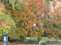 IMG_0021.webp