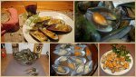 Copy of Greenlip mussels NZ v.jpg