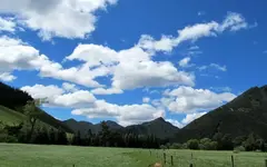 Copy of IMG_4881v.webp