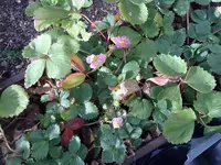 271020131448.webp