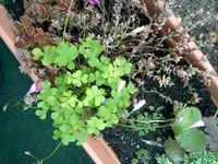271020131452.webp
