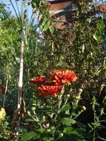 DSCF8467.webp