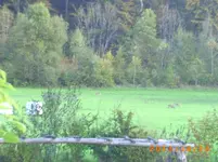 oktob 13 001.webp