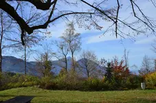 DSC_0524.webp