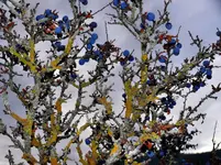 P1200250.webp