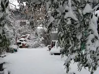 Winter1.webp