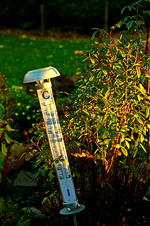 der Sturm und das Thermometer_500.webp
