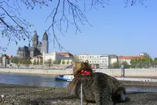 00002286.webp