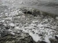 025.webp