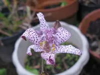 004_1024x768.webp