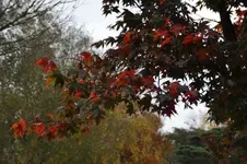 DSC_5941.webp