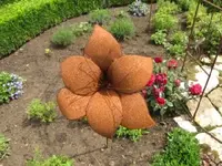 Bild 1662.webp