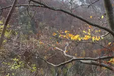 2013_1026Herbst0041.webp