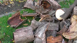DSCN5972.webp