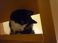 P1020203.webp