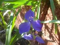 CIMG3208.webp