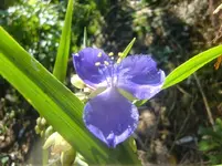 CIMG3209.webp