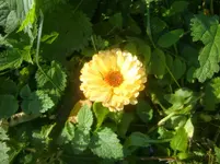 CIMG3214.webp