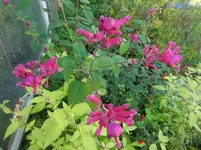CIMG3226.webp