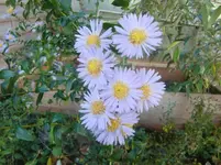 CIMG3234.webp