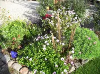 100_1239.webp