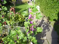 100_1241.webp