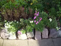 100_1252.webp