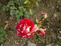 2013-10-28-112.jpg