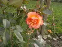 2013-10-28-110.webp