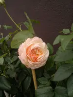 2013-10-28-108.webp