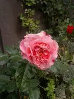 2013-10-28-102.webp