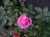 2013-10-26-068.webp