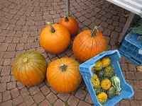 016.webp