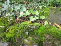 002.webp