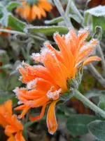 DSCN1456.webp