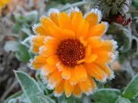 DSCN1450.webp