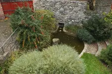 2013_1030Herbst0024.webp