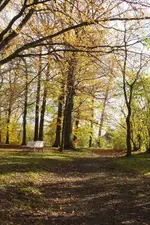 2013_1030Herbst0048.webp