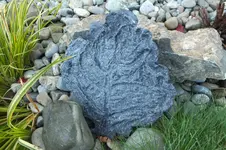 2013_1031Herbst0002.webp