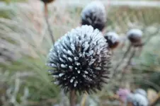 2013_1031Herbst0003.webp