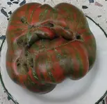 Chocolate-Stripes4.webp